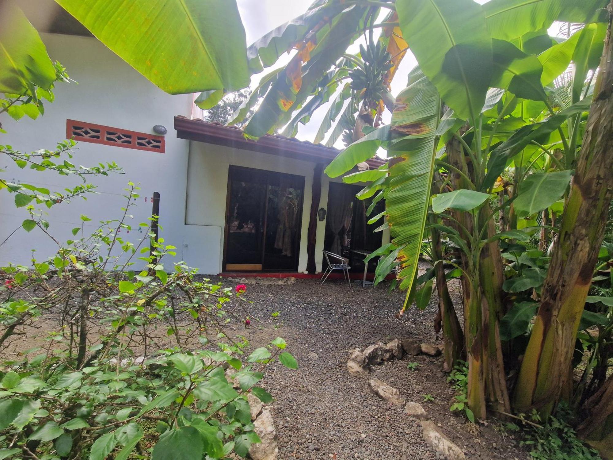 Villas Jungle 5 Samara Bagian luar foto